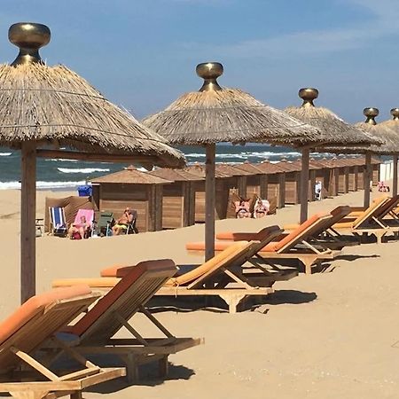 At Sea Daire Katwijk aan Zee Dış mekan fotoğraf